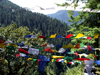 Bhutan hillside