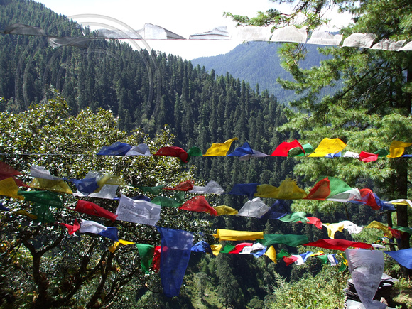 Bhutan hillside